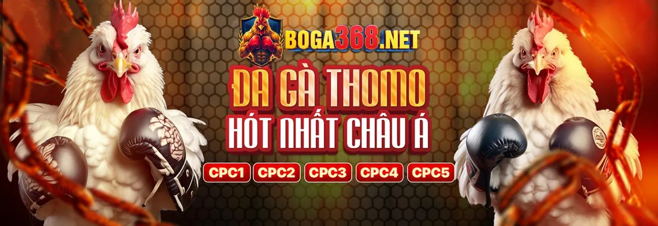 Đá Gà Trực Tuyến Hấp Dẫn tại 188BET
